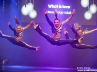 danceshow bij Kreadance Diva in Wevelgem zaterdag avond1